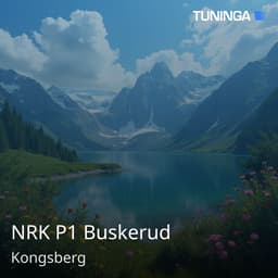NRK P1 Buskerud
