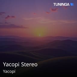Yacopi Stereo