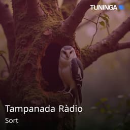 Tampanada Ràdio