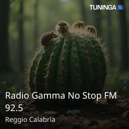 Radio Gamma No Stop FM 92.5