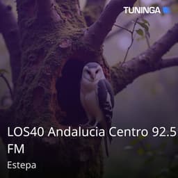 LOS40 Andalucia Centro 92.5 FM