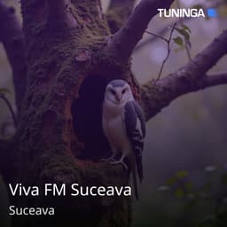 Viva FM Suceava