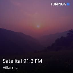 Satelital 91.3 FM