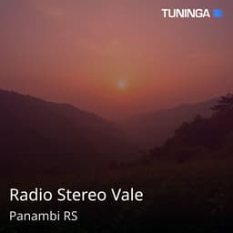 Radio Stereo Vale