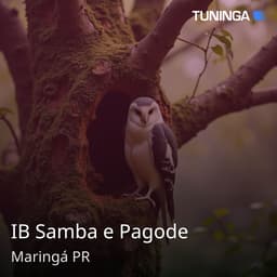 IB Samba e Pagode