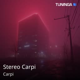 Stereo Carpi