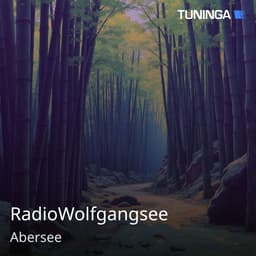 RadioWolfgangsee