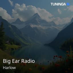 Big Ear Radio