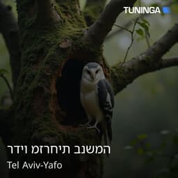 רדיו מזרחית בנשמה