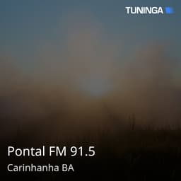 Pontal FM 91.5