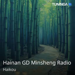 Hainan GD Minsheng Radio