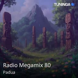 Radio Megamix 80