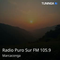 Radio Puro Sur FM 105.9