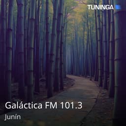 Galáctica FM 101.3