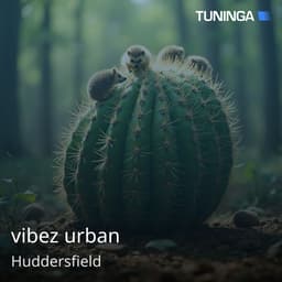 vibez urban