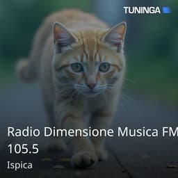 Radio Dimensione Musica FM 105.5