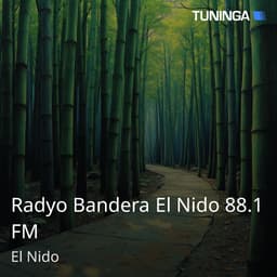 Radyo Bandera El Nido 88.1 FM