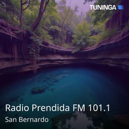 Radio Prendida FM 101.1