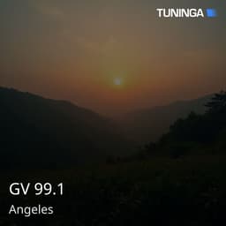 GV 99.1
