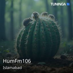 HumFm106