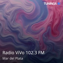 Radio ViVo 102.3 FM