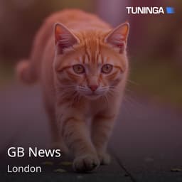 GB News