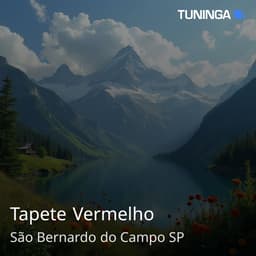 Tapete Vermelho