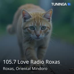 105.7 Love Radio Roxas