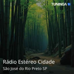 Rádio Estéreo Cidade
