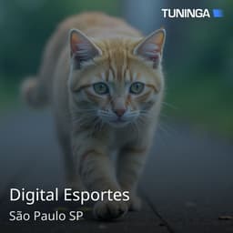 Digital Esportes