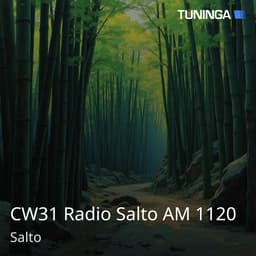 CW31 Radio Salto AM 1120