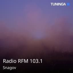 Radio RFM 103.1