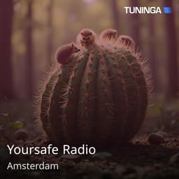 Yoursafe Radio