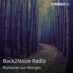 Back2Noize Radio