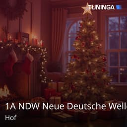 1A NDW Neue Deutsche Welle