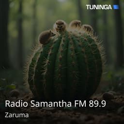 Radio Samantha FM 89.9