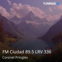 FM Ciudad 89.5 LRV 336