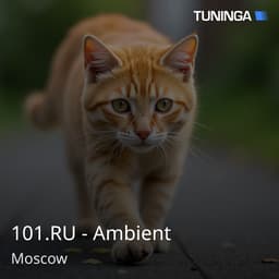 101.RU - Ambient