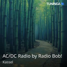 AC/DC Radio by Radio Bob!