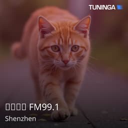龙岗广播 FM99.1