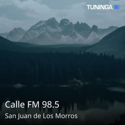 Calle FM 98.5