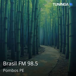 Brasil FM 98.5