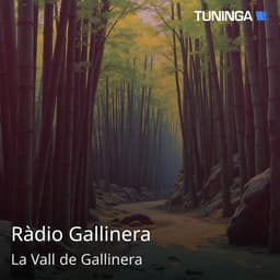 Ràdio Gallinera