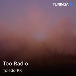Too Radio