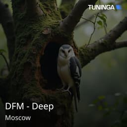DFM - Deep