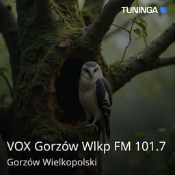 VOX Gorzów Wlkp FM 101.7