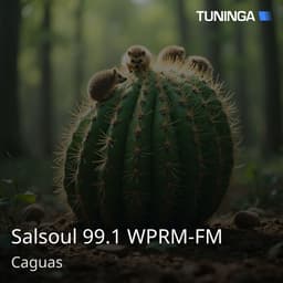 Salsoul 99.1 WPRM-FM
