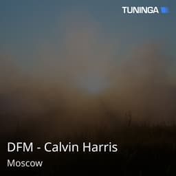 DFM - Calvin Harris
