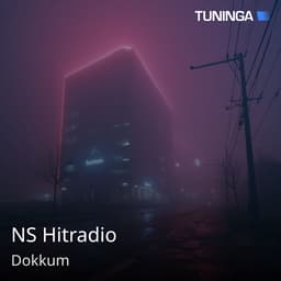 NS Hitradio