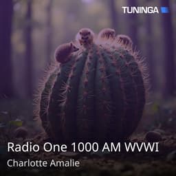 Radio One 1000 AM WVWI